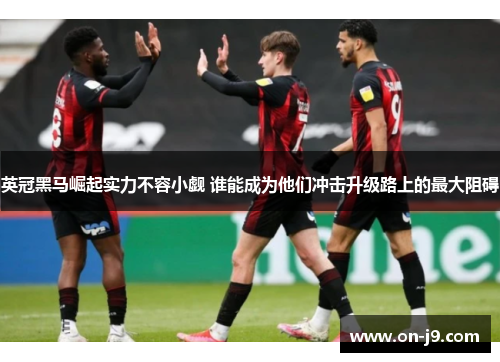 英冠黑马崛起实力不容小觑 谁能成为他们冲击升级路上的最大阻碍