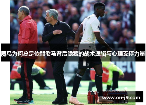 魔鸟为何总是依赖老马背后隐藏的战术逻辑与心理支撑力量
