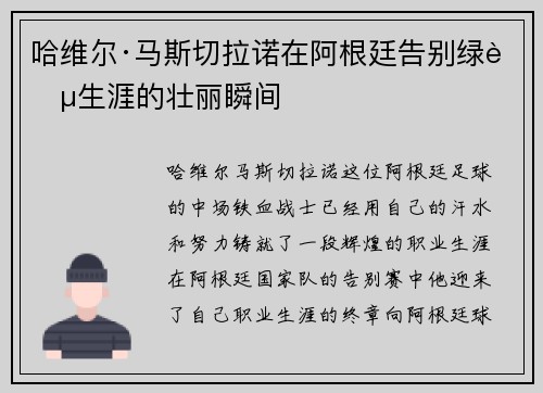 哈维尔·马斯切拉诺在阿根廷告别绿茵生涯的壮丽瞬间 哈维尔·马斯切拉诺在阿根廷告别绿茵生涯的壮丽瞬间